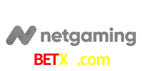 NetGaming